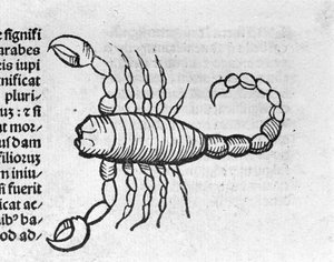 Le Scorpio - Johannes Angelon traktaatissa vuosien suurista yhteyksistä ja niiden vallankumouksista. Augsburg, Erhard Ratdolt tekijältä German School