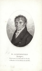 Martin Lichtenstein tekijältä German School