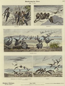 Huonekalut ja erilaiset esineet 1100- ja 1300-luvuilta