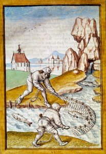 Pienoisverkkokalastus saksankielisestä käännöksestä Bidpain "Kalilan (Calila) ja Dimnan" taruista. 1400-luvun Chantilly, Musee Conde tekijältä German School
