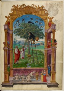 Ms Harley 3469, f.15 Kultainen puu kruunulla, toinen vertaus, Salomon Trismosinin teoksesta Splendor Solis tekijältä German School