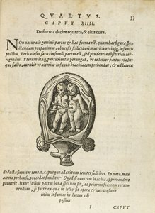 Ei-identtiset kaksoset kohdussa, kuvitus Rueffin 1587:n kirjan 4. luvusta Ihmisen sikiämisestä ja kasvusta. tekijältä German School