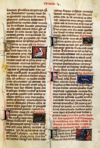 De Natura Rerumin sivu lintuista, Albertus Magnus (noin 1200-1280) tekijältä German School