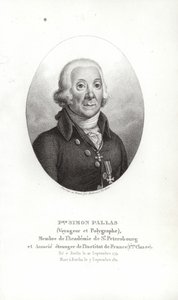 Peter Simon Pallas tekijältä German School