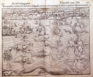 Levy, joka edustaa kaikentyyppisiä meren ja maan hirviöitä pohjoisilta alueilta: Xilografia otettu Sebastien Munsterin Universal Cosmographysta. Paali tekijältä German School