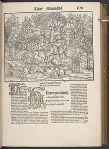 Publius Virgilius Maronisin teokset..., Argentorati C. LXIr tekijältä German School