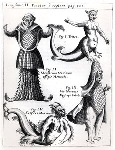 Merihirviöt, kuvitus Physica Curiosasta, kirjoittanut Gaspar Schott S.J. (1608-66), julkaistu Würzburg 1662 tekijältä German School
