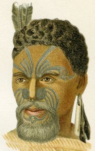 Maoripäällikön tatuoidut kasvot, 1894 tekijältä German School