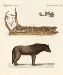 Baffin-lahden koira (värillinen kaiverrus) tekijältä German School