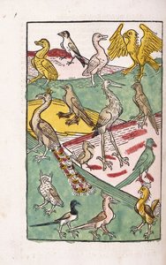 Erilaisia lintulajeja maisemassa, 1499 tekijältä German School