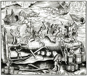 Valankalastus, Cosmographie Universelle of Munsterin puupiirros, julkaistu 1552 tekijältä German School