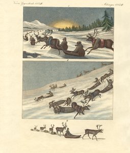 Talvimatkat Lapissa (värillinen kaiverrus) tekijältä German School