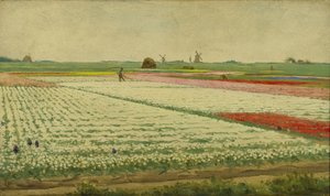Tulppaanikentät