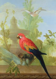Ara ja kyyhkynen koristepuutarhassa, 1772 tekijältä Gerrit van den Heuvel