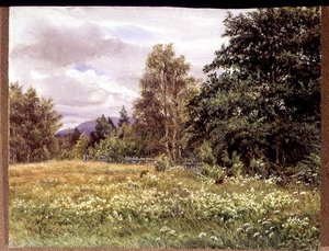 Meadow-sweet lähellä Polcharia, Aviemore, Skotlanti tekijältä Gertrude Martineau