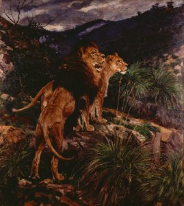 Lions Stalking (öljy kankaalle) tekijältä Geza Vastagh