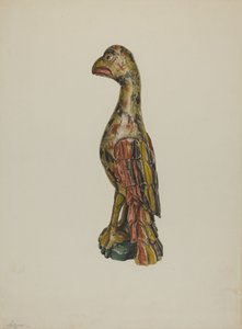 Pa. Saksalainen papukaija, n. 1939.