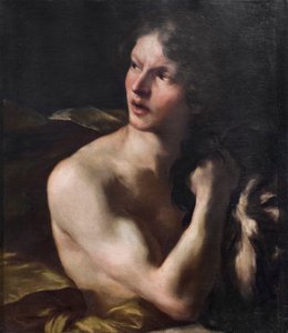 David tekijältä Gian Lorenzo Bernini