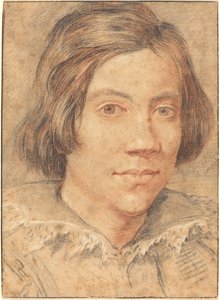 Nuoren miehen muotokuva tekijältä Gian Lorenzo Bernini
