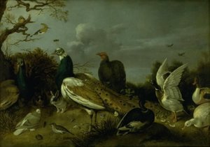 Riikinkukot, ankat ja muut eläimet tekijältä Gijsbert Gillisz. de Hondecoeter