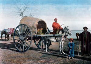 Bukhara vaunu, Uzbekistan, c1890