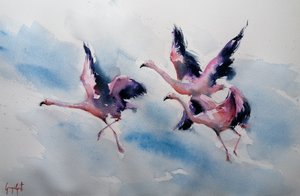 Vaaleanpunaiset flamingot liitävät