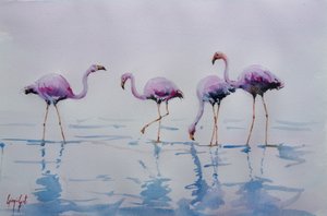 Vaaleanpunaiset flamingot kahlaamassa tekijältä Giorgio Gosti