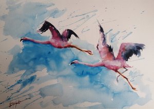 Värikäs flamingojen lento tekijältä Giorgio Gosti