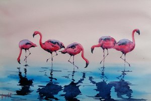Vesissä kahlailevat vaaleanpunaiset flamingot tekijältä Giorgio Gosti