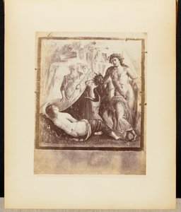 Tuore Bacchus ja Ariadne Pompeji tekijältä Giorgio Sommer