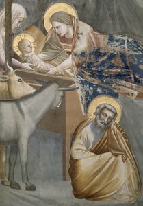 Syntymä, yksityiskohta Neitsyestä ja Lapsesta, aasista ja Joosefista, 1303-05 (kunnostuksen jälkeen) tekijältä Giotto di Bondone