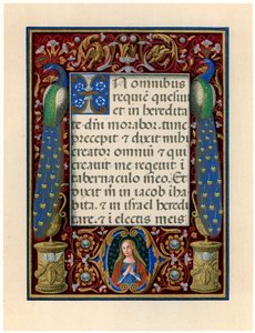 Tekstisivu, jossa Neitsyt ja kaksi riikinkukkoa, c1490