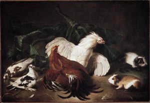 Asetelma eläinten kanssa Kanat ja hamsterit (öljy kankaalle tekijältä Giovanni Agostino Cassana