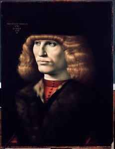 Nuoren miehen muotokuva, noin 1495 (öljy puulle) tekijältä Giovanni Ambrogio de Predis