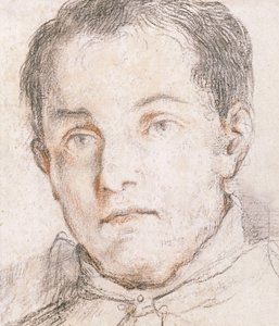 Nuoren miehen muotokuva, tekijältä Giovanni Antonio Burrini or Burino