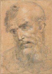 Parrakkaan miehen pää (etusivu); Study for a sacra conversazione (kääntöpuoli).