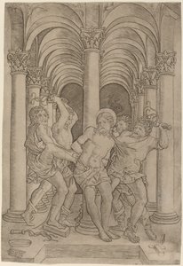 Liputus