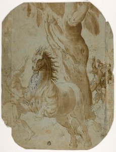 Pyhän Paavalin kääntyminen (recto); Mies takaa katsottuna (verso) tekijältä Giovanni Antonio da Pordenone