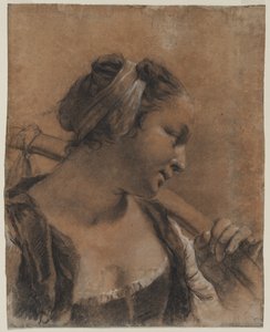 Muotokuva Rosasta olkapäällä, c. 1735. tekijältä Giovanni Battista Piazzetta