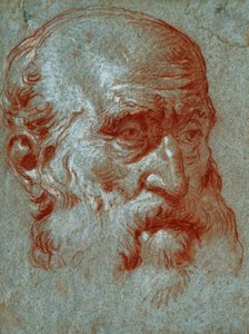 Venetsialaisen patriisin johtaja, kolme neljäsosaa, tekijältä Giovanni Battista Tiepolo