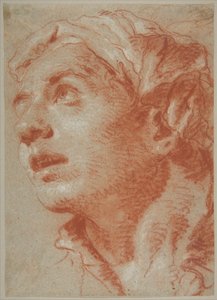 Nuoren miehen pää kolmivartalokuvassa tekijältä Giovanni Battista Tiepolo