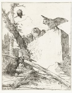 Otsikkoprintti Scherzi di fantasialle pöllöillä lähellä kiveä Scherzi di fantasia (sarjan nimi) tekijältä Giovanni Battista Tiepolo
