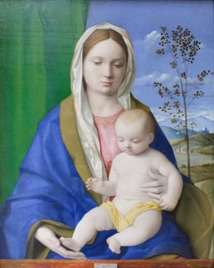 Madonna ja lapsi, noin 1500 (öljy paneelille) tekijältä Giovanni Bellini