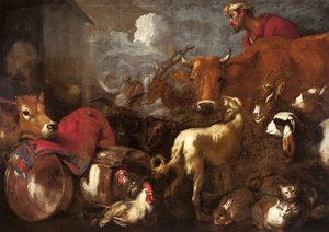 The Animals Board Nooan arkki - The Animals Board Nooan arkki, Castiglione, Giovanni Benedetto (1610-1665). Öljy kankaalle, koko: 170x238 tekijältä Giovanni Benedetto Castiglione