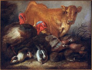 Eläinten tutkimus Lehmä, kalkkuna, kani, Giovanni Benedetto Castiglionen maalaus dit il Grechetto (1610-1665) Koko 30x38,5 cm Geenit, Musei di Strada Nuova tekijältä Giovanni Benedetto Castiglione
