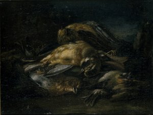 Kuollut lintu, 1664 tekijältä Giovanni Benedetto Castiglione