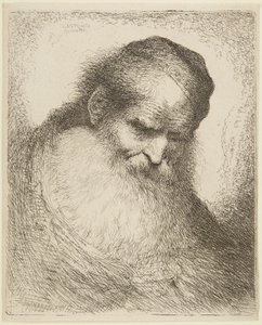Parrakkaan vanhan miehen pää tekijältä Giovanni Benedetto Castiglione