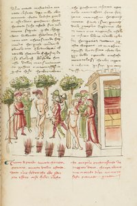 Dekameron, Nuori vanki - Restituta Bolgaro ja Giari di Procida pylväässä , Viides päivä, novelli 6. tekijältä Giovanni Boccaccio