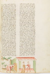 Dekameron, Aave - Tessa dalla Cuculia pahoinpitelee miestään , Seitsemäs päivä, novelli 1. tekijältä Giovanni Boccaccio