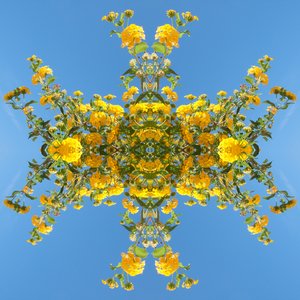 Unnatural 193 (digitaalisesti manipuloitu valokuva) tekijältä Giovanni Cafagna